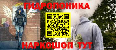 гашик Свободный