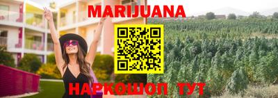 гашик Свободный