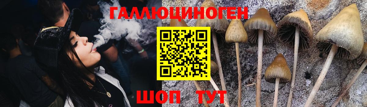 Галлюциногенные грибы GOLDEN TEACHER Мирный